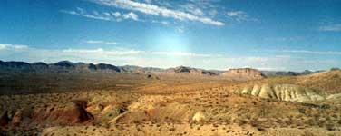 Typical Arizona landscape