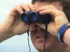 I see no ships!!